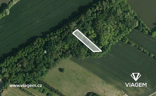 Prodej lesa 462 m², Telnice, okres Brno-venkov