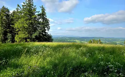 Prodej louky 10 451 m², Vlastiboř, okres Jablonec nad Nisou