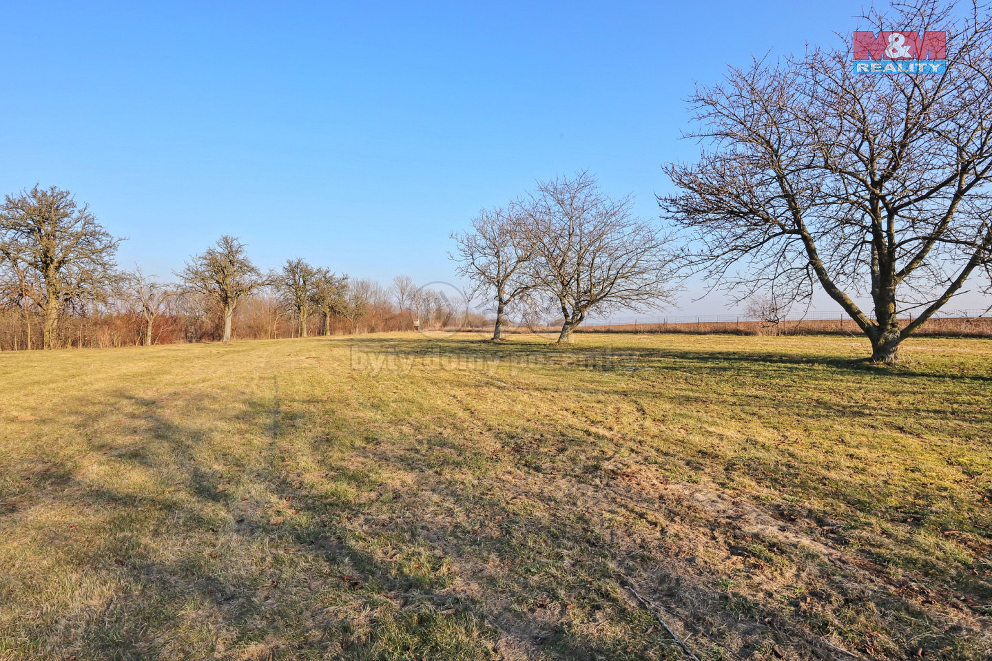 Prodej pole 8 245 m² – fotografie 3