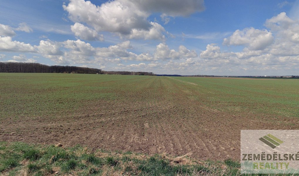 Prodej pole 9 861 m², Lovčice – fotka 1 z 4