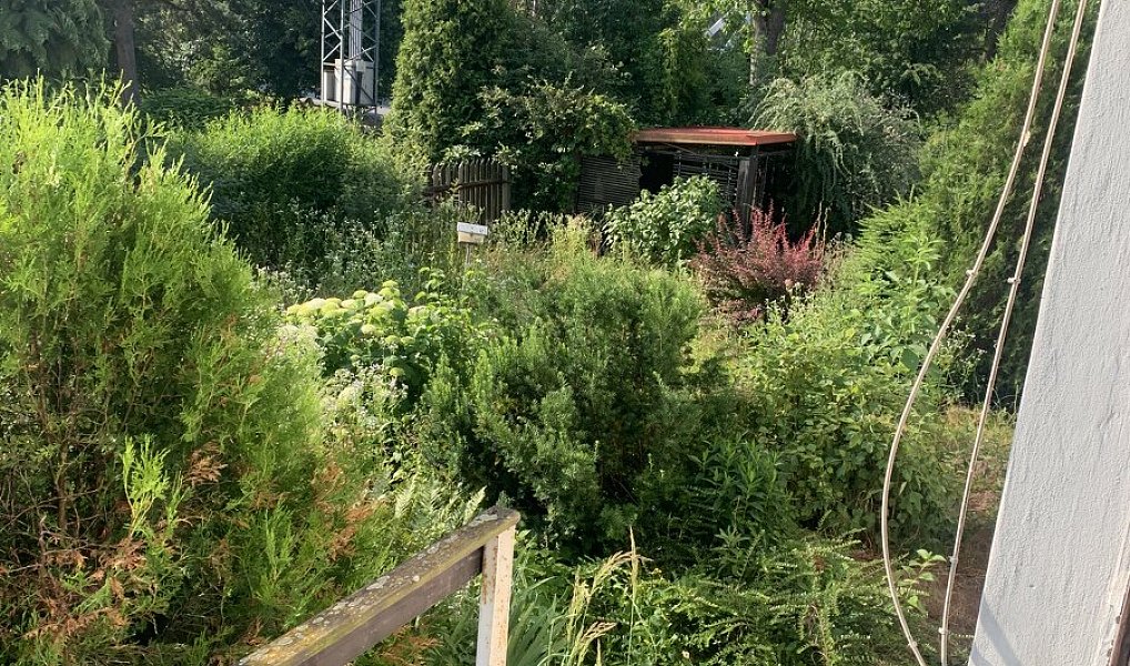 Prodej domu 150 m², Hranice – náhled fotky 5
