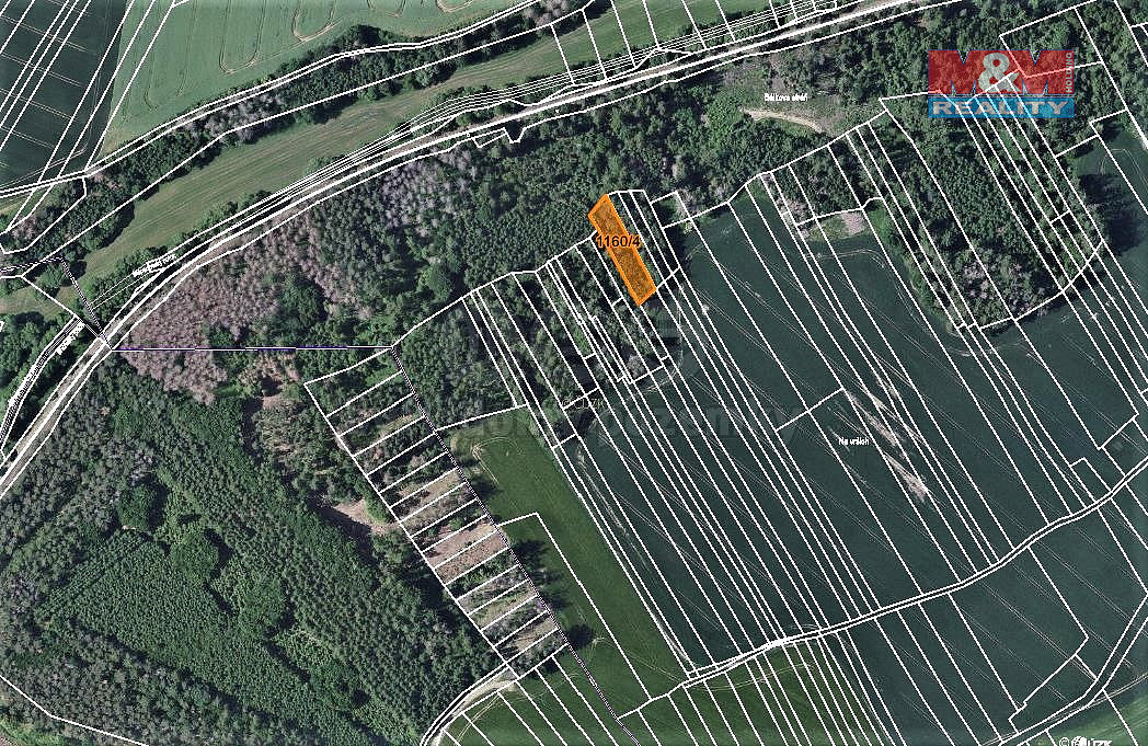 Prodej lesa 1 133 m²