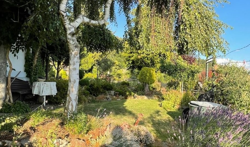 Prodej chaty/chalupy 17 m² s pozemkem 388 m², Moravská Třebová – náhled fotky 2