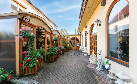 Pronájem obchodních prostor 140 m², Husova třída, Domažlice - Dolejší Předměstí