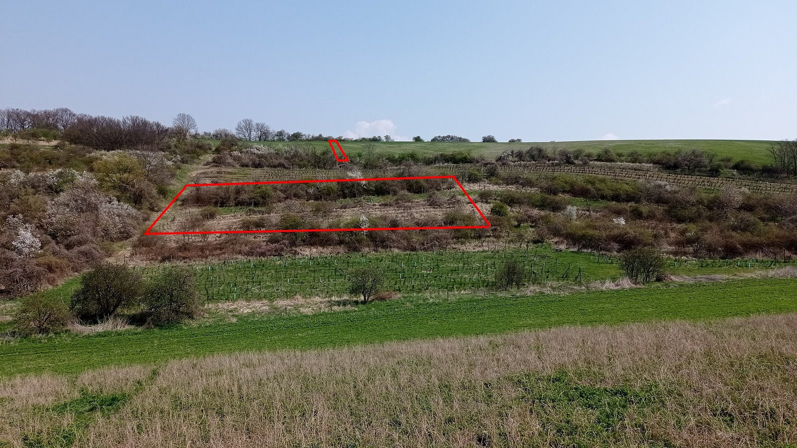 Prodej pozemku 6 023 m² – fotografie 3