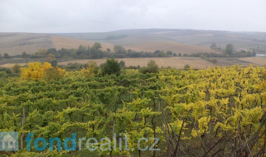 Prodej pozemku 4 541 m², Morkůvky – náhled fotky 2