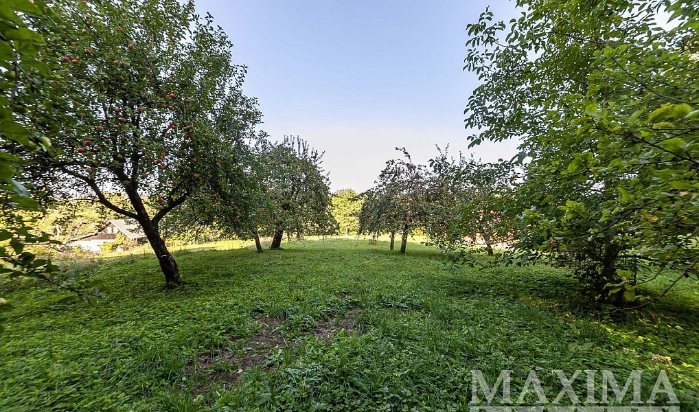 Prodej stavebního pozemku 3 738 m², Hrubá Skála – náhled fotky 9