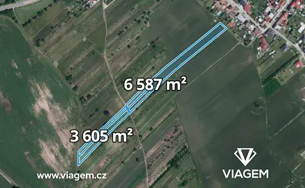 Prodej pole 321 m², Hrušky, okres Břeclav