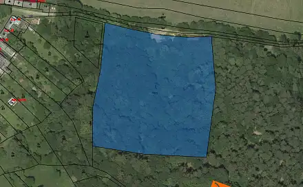 Prodej lesa 118 m², Městečko Trnávka, okres Svitavy