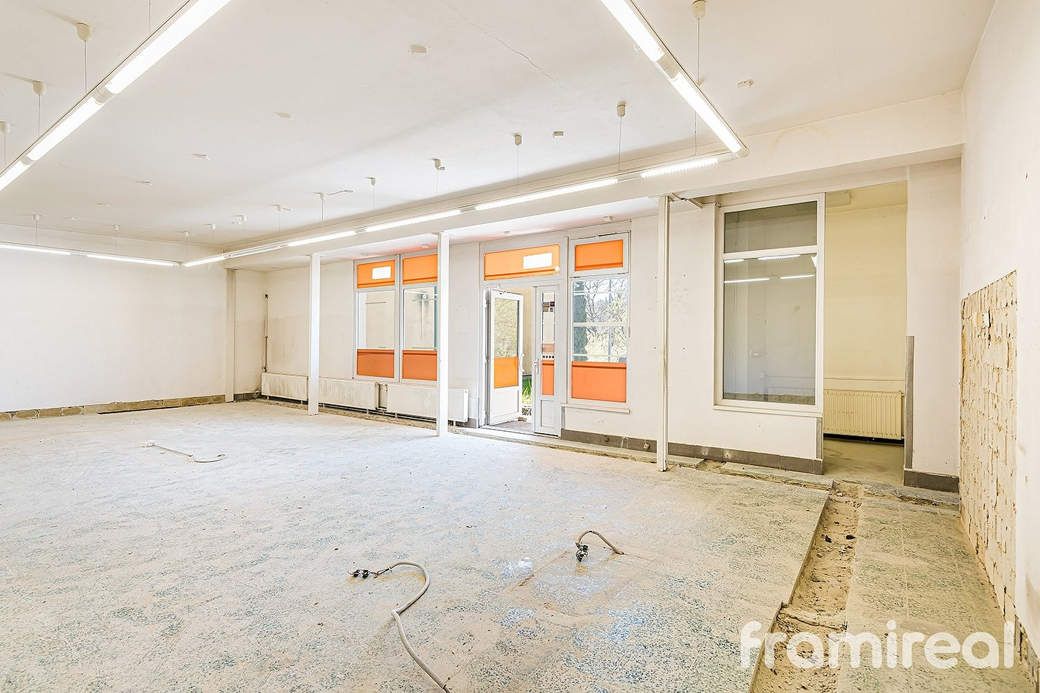 Prodej obchodních prostor 245 m² — photo 5