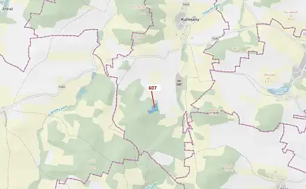 Dražba lesa 10 437 m², Kuřimany