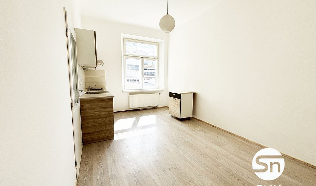 Pronájem bytu 1+1 55 m², Plzeň – náhled fotky 6