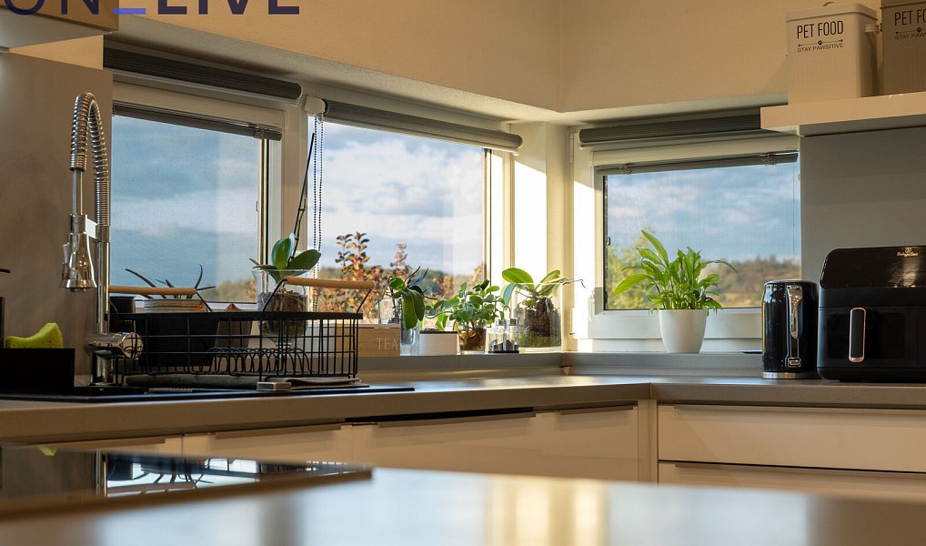 Prodej domu 151 m² s pozemkem 919 m², Dolany – náhled fotky 15