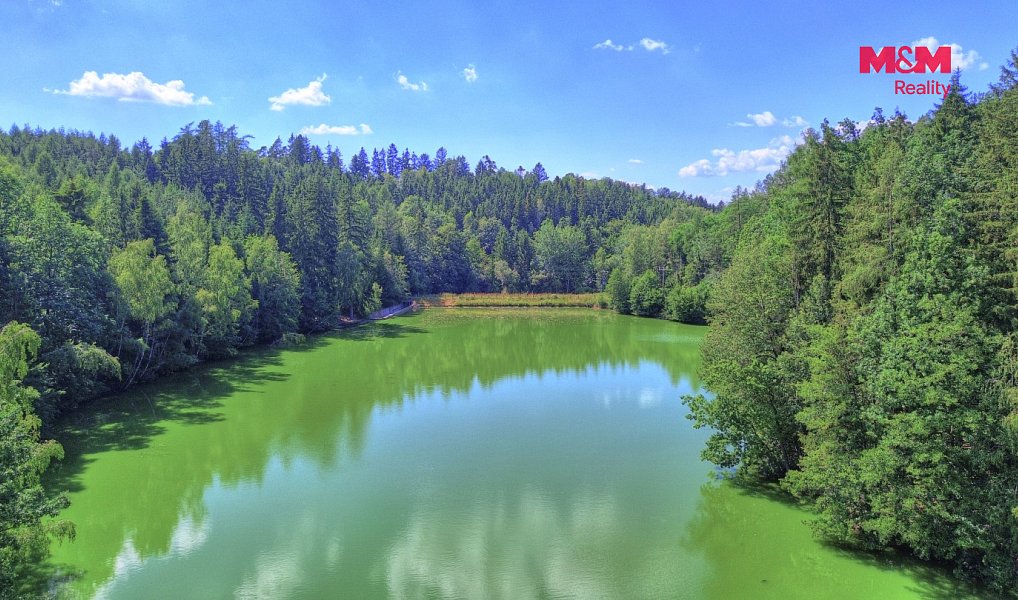 Prodej lesa 32 996 m², Ohnišov – náhled fotky 8