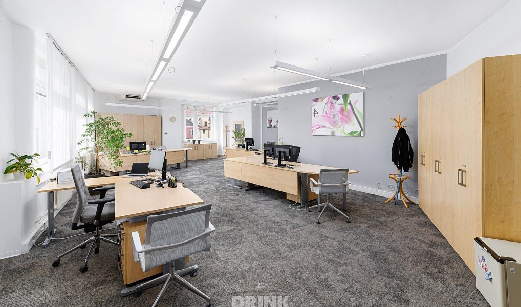 Pronájem obchodních prostor 560 m², Mladá Boleslav – náhled fotky 13