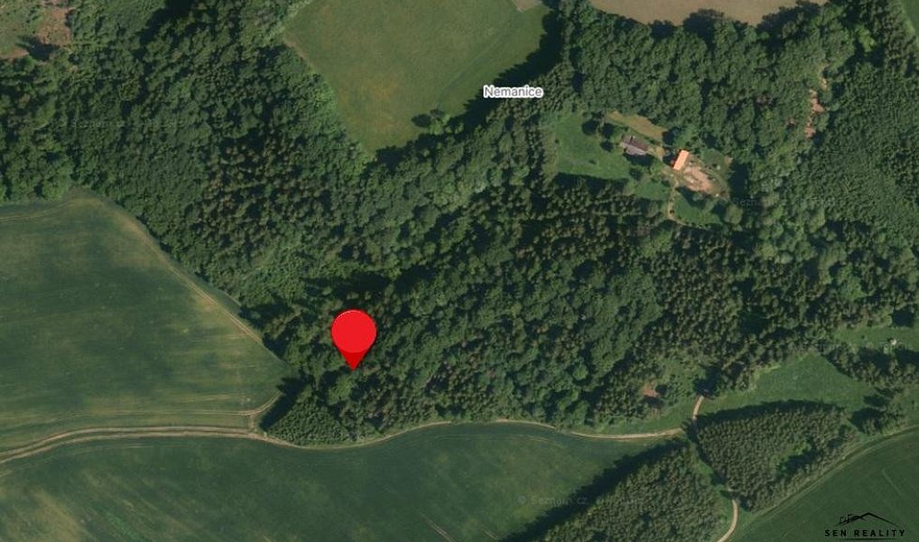 Prodej lesa 9 005 m², Liberk – náhled fotky 12