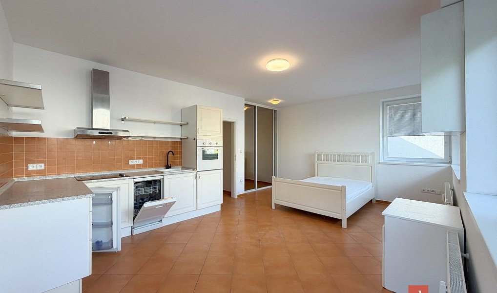 Pronájem bytu 1+kk 33 m², Plzeň – náhled fotky 2