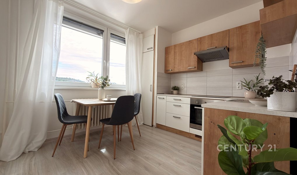 Prodej bytu 1+1 41 m², Brno – náhled fotky 3