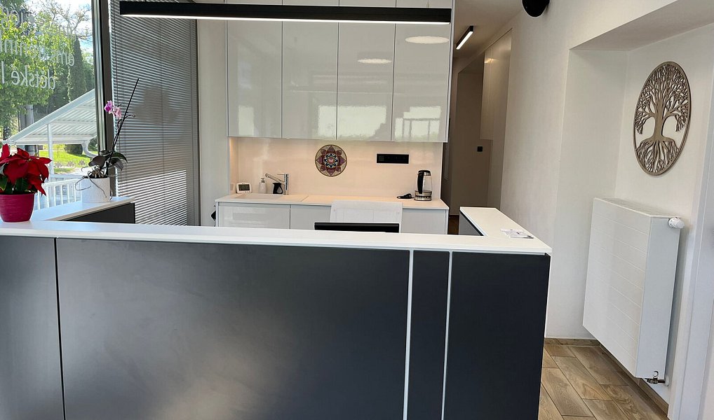 Pronájem obchodních prostor 398 m², Zubří – náhled fotky 5