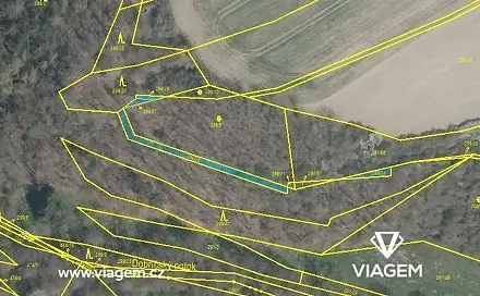 Prodej lesa 306 m², Kaceřov, okres Plzeň-sever