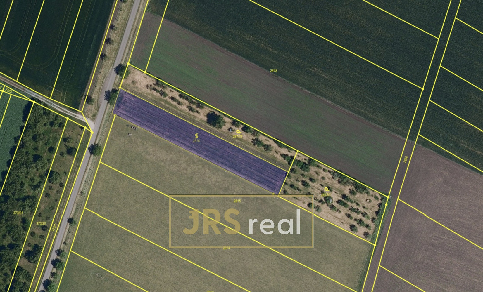 Prodej pole 1 711 m² – fotografie 4