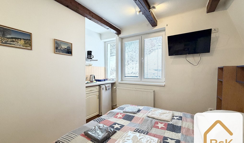 Prodej ubytovacího objektu 185 m², Janov nad Nisou – náhled fotky 11