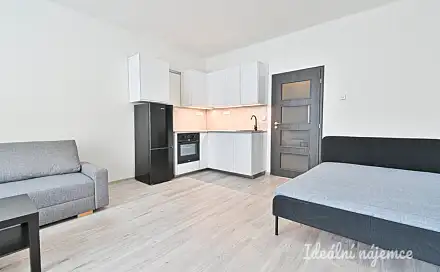 Pronájem bytu 1+kk 37 m²