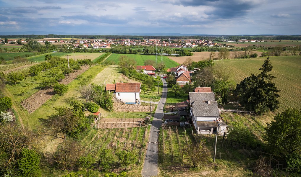 Prodej vinného sklepa s vinohradem ve Skoronicích, sklep + vinohrad Skoronice, Skoronice – náhled fotky 12