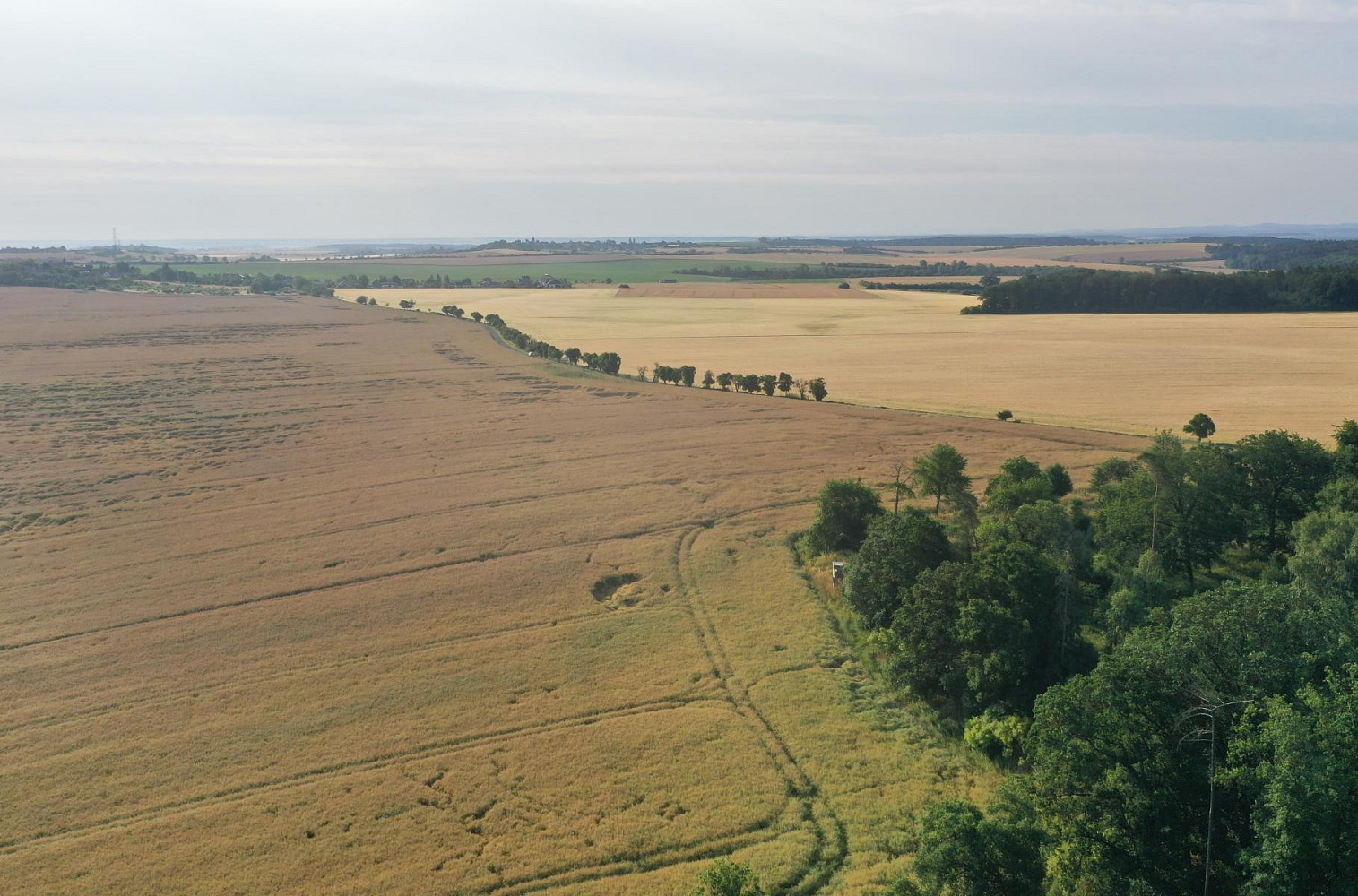 Horní Slivno - 10 325m² – pohled 4
