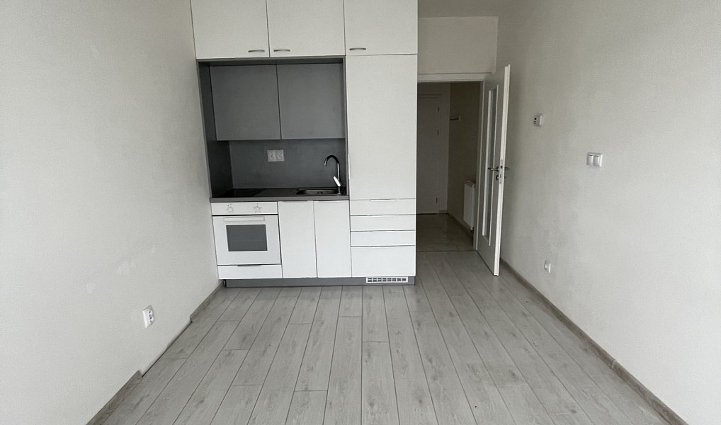 Pronájem bytu 1+kk 21 m², České Budějovice – náhled fotky 5