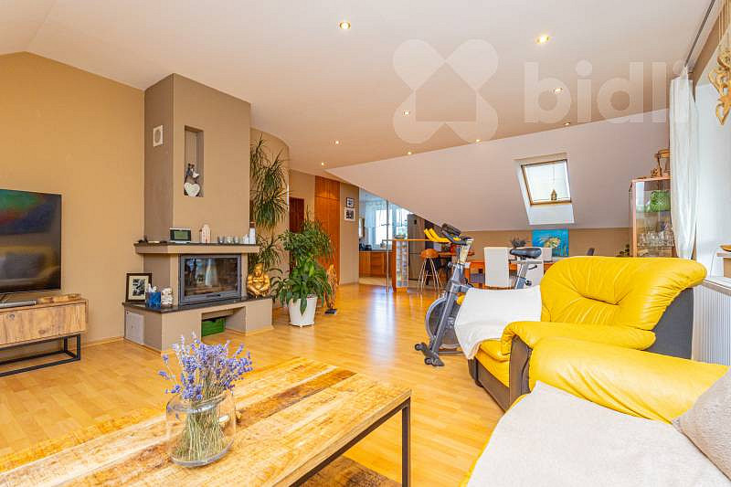 Prodej domu 300 m² s pozemkem 804 m² – fotografie 3