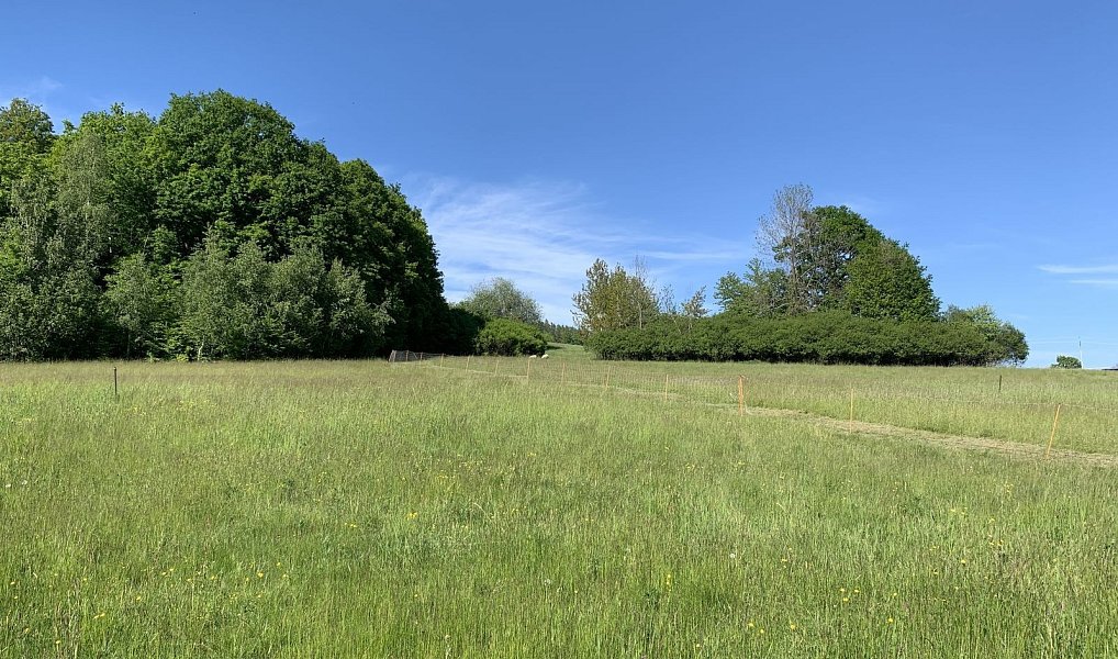 Prodej stavebního pozemku 1 015 m², Vidče – náhled fotky 2