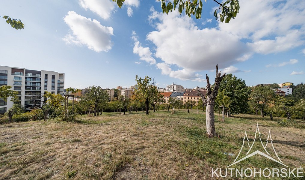 Prodej bytu 2+kk 40 m², Praha – náhled fotky 23