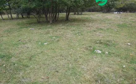 Prodej stavebního pozemku 4 000 m², Konstantinovy Lázně, okres Tachov