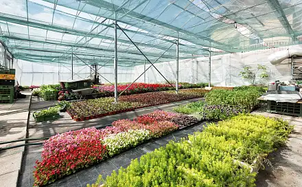 Prodej komerčního objektu (jiného typu) 956 m², Miřetice, okres Chrudim