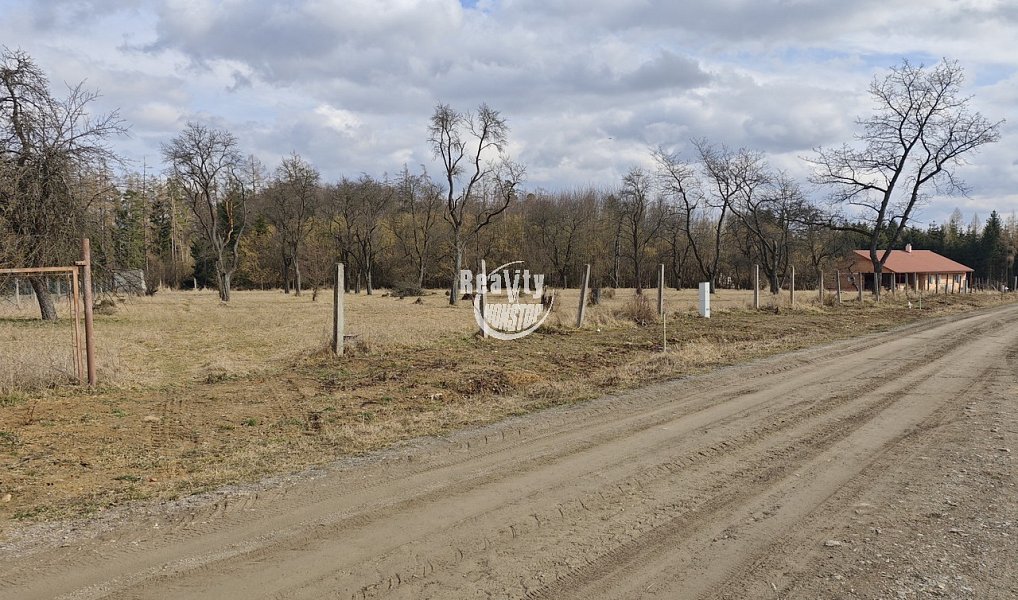 Prodej stavebního pozemku 3 425 m², Jamné – náhled fotky 6