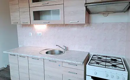 Pronájem bytu 1+1 42 m²