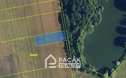 Prodej pole 2 539 m², Majetín, okres Olomouc