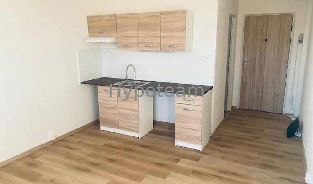 Pronájem bytu 1+kk 20 m², Ústí nad Labem – náhled fotky 8