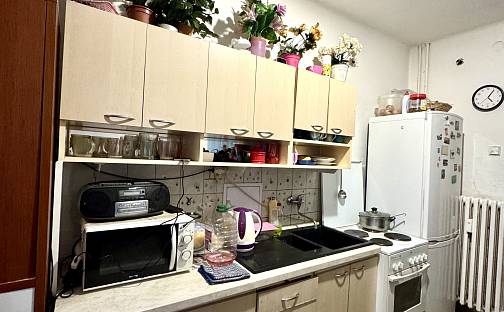 Prodej bytu 1+1 38 m², tř. Budovatelů, Most