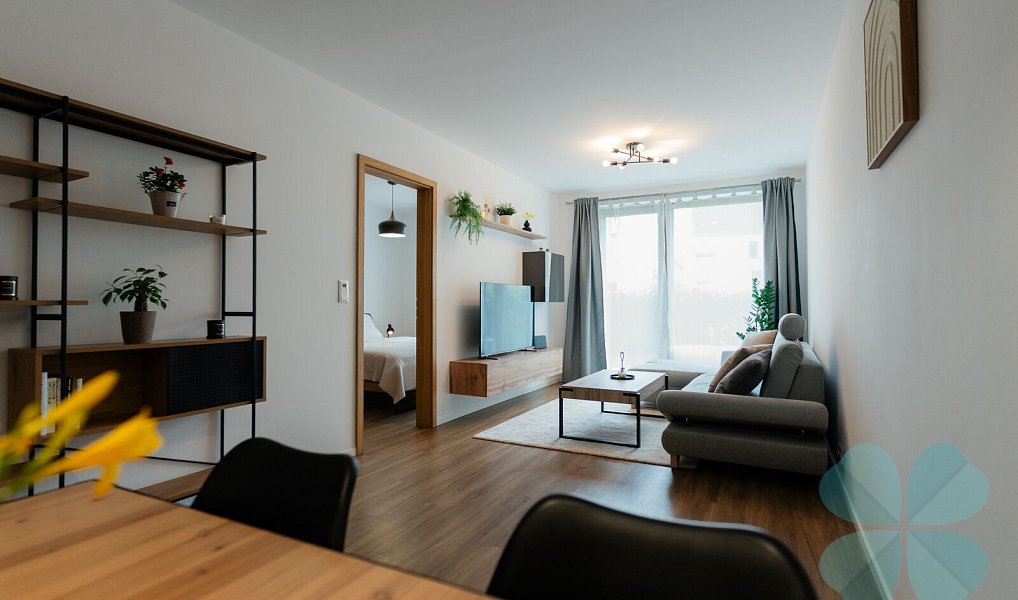 Pronájem bytu 2+kk 67 m², Plzeň – náhled fotky 2