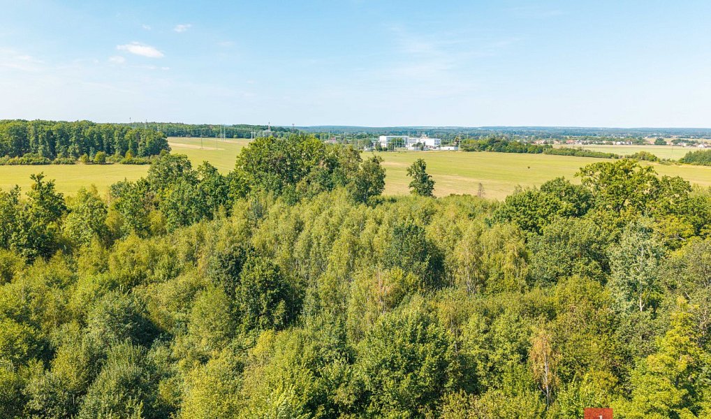 Prodej lesa 37 347 m², Pardubice – náhled fotky 13