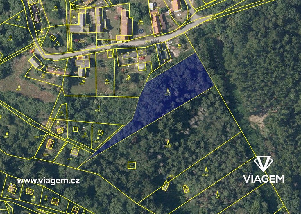 Prodej lesa 3 269 m² – fotografie 3