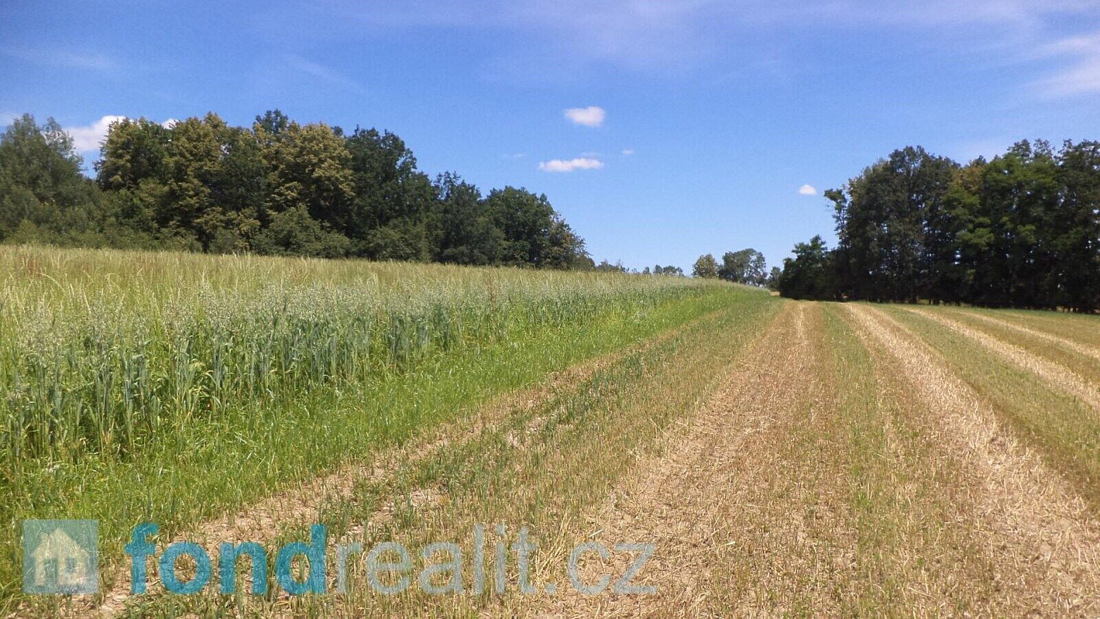 Prodej pole 18 412 m²