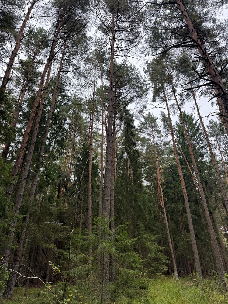 Fotka 8 z 16