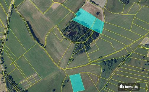 Prodej pole 15 737 m², Kameničky, okres Chrudim