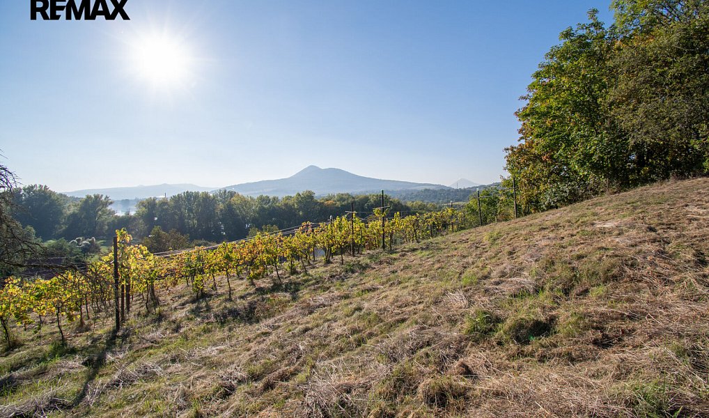 Prodej domu 110 m² s pozemkem 5 026 m², Velké Žernoseky – náhled fotky 6