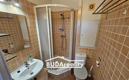 Pronájem bytu 1+1 37 m², Dlouhá, Zlín