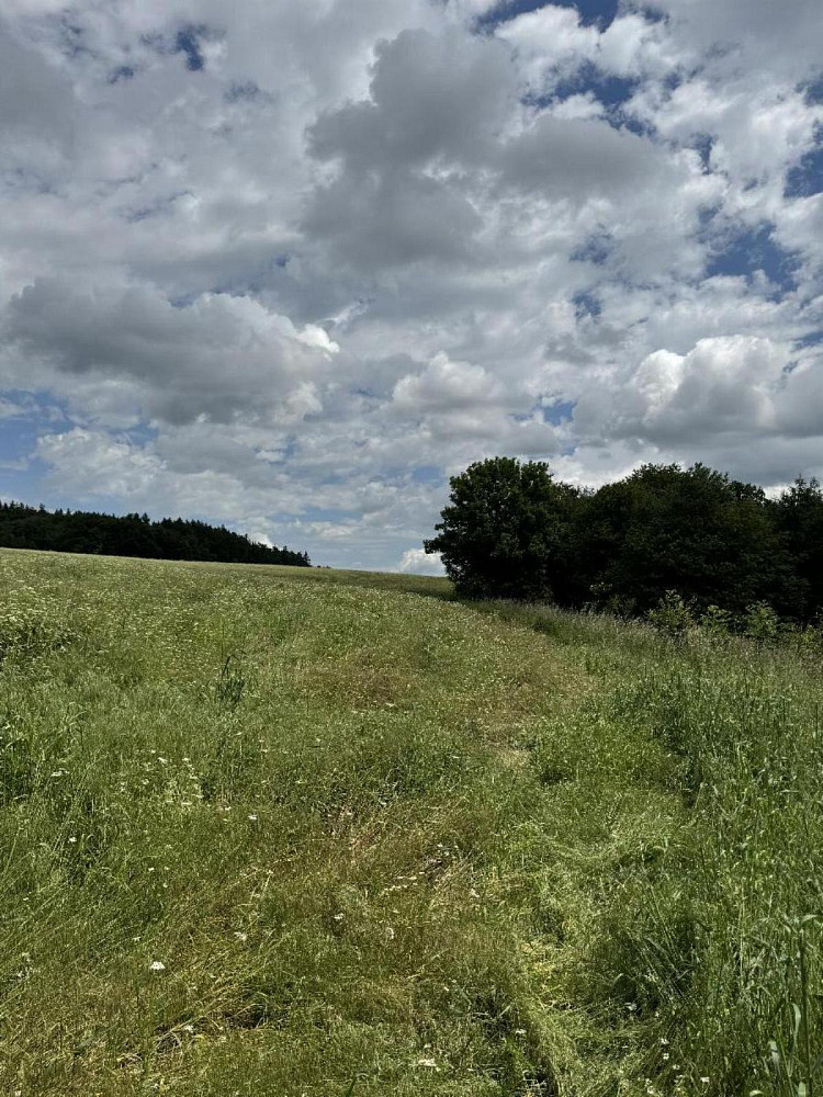 Prodej pole 4 916 m²