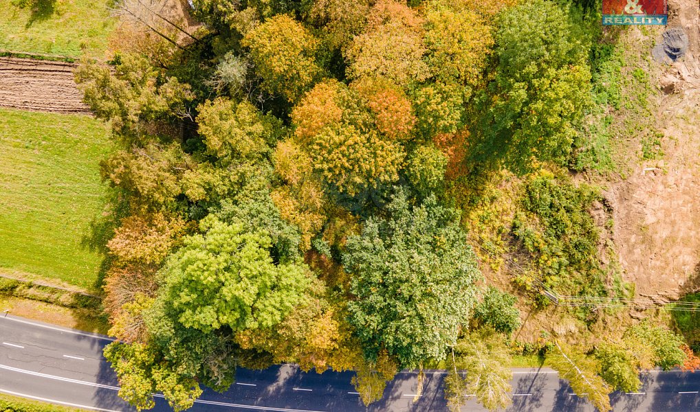 Prodej stavebního pozemku 1 944 m², Kynšperk nad Ohří – náhled fotky 8